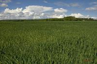 Cjp_2010_05_02_125435 (1).jpg